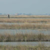Discover the peculiar landscape of the Lagoon with Venice Lagoon Adventure private guided tour