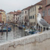Visit Chioggia with Venice Southern Lagoon private guided tour