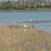 Discover the Lagoon with the tour Venice with less walking or with Venice Lagoon Adventure