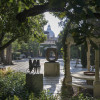 Visit the Guggenheim Garden in Venice with a private tour