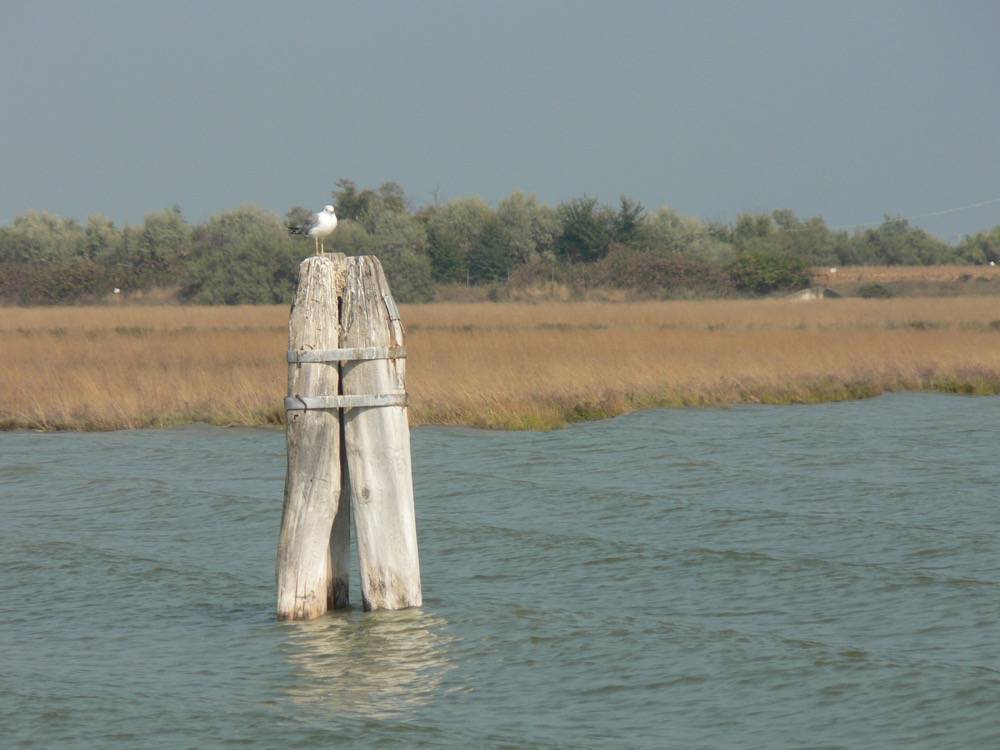 Venice Lagoon and Mainland